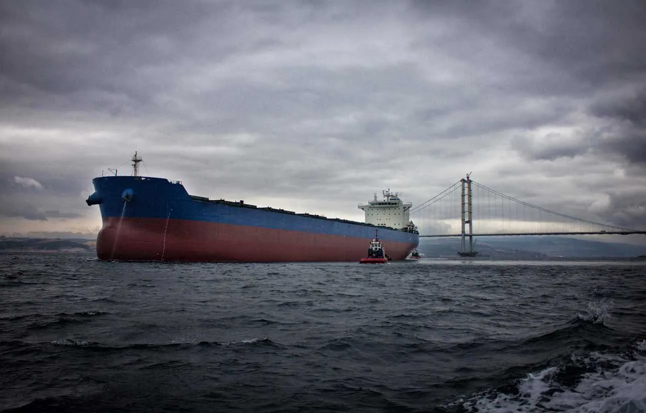 Operational Level (Junior Officers).