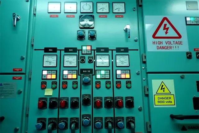 Operational Level (Junior Officers).