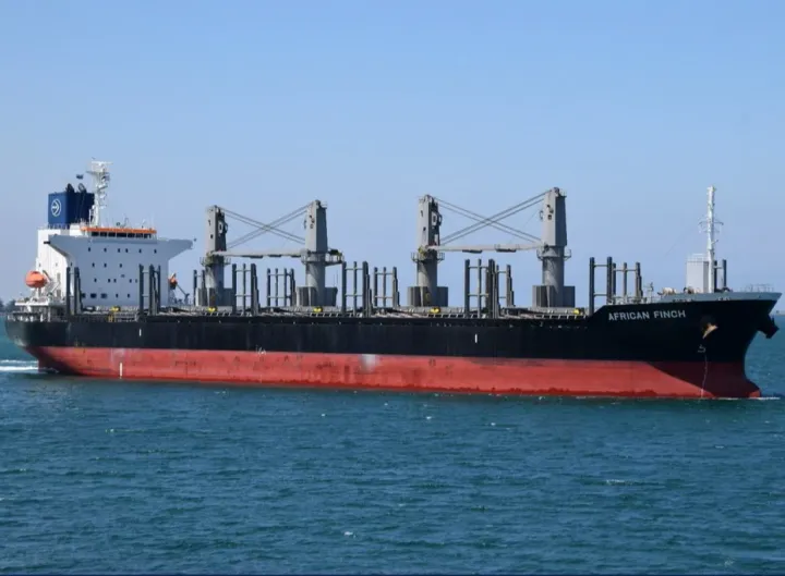 Photo of AFRICAN FINCH