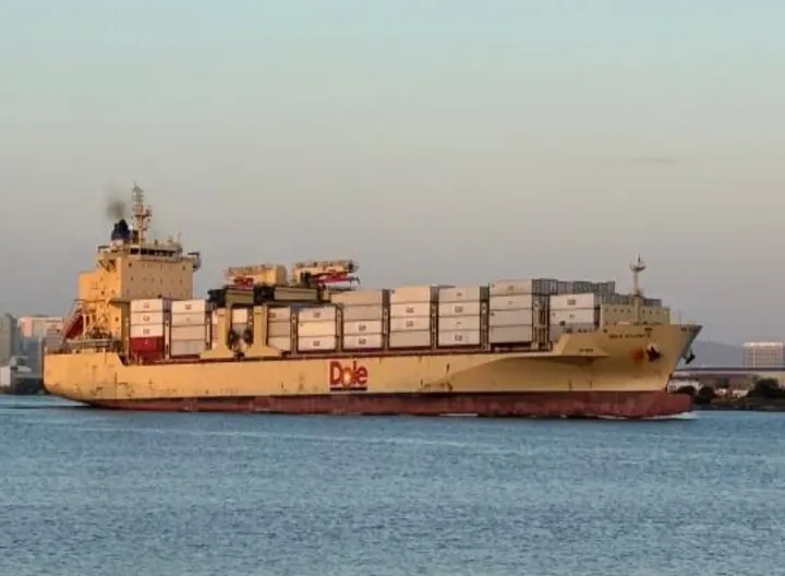Photo of DOLE ATLANTIC
