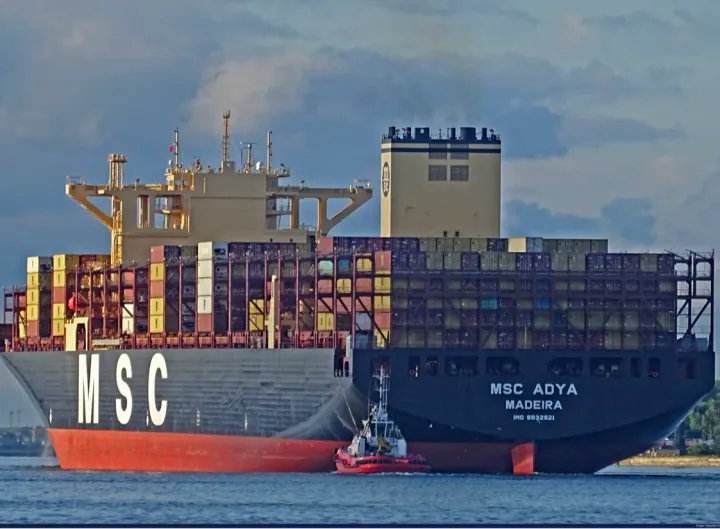 Photo of MSC ADYA