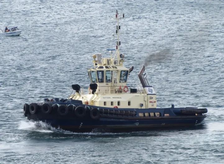Photo of SVITZER MERINGA
