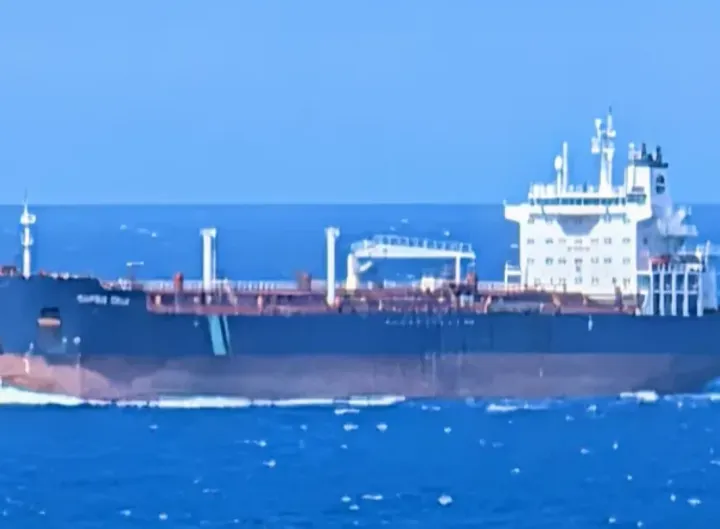 Photo of SEA PHOENIX