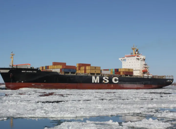 Photo of MSC MARIA PIA