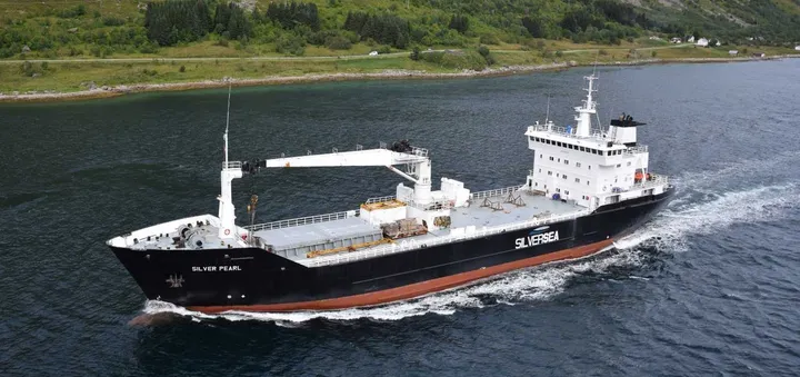 Photo of SILVER PEARL