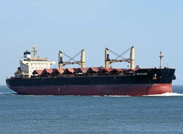 Photo of IBIS BULKER