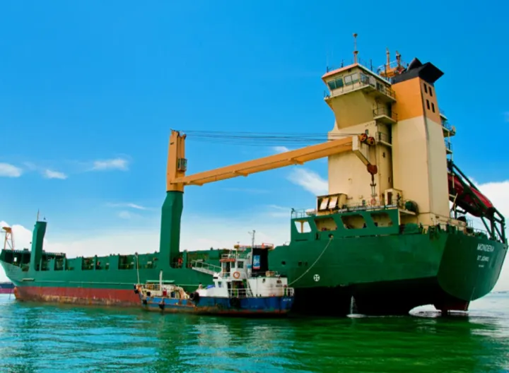 Photo of MSC DHANTIA F