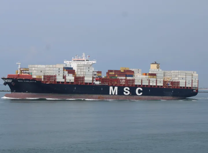 Photo of MSC CARLOTTA
