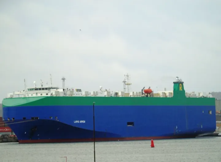 Photo of LAPIS ARROW