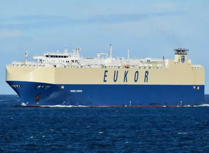 Photo of MORNING CHAMPION