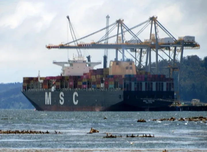 Photo of MSC TRIESTE