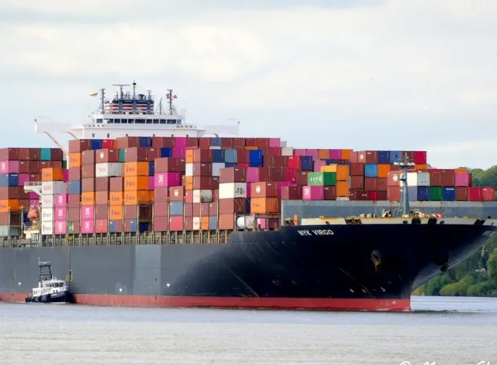 Photo of NYK VIRGO