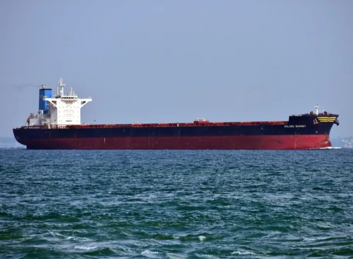 Photo of GOLDEN BARNET