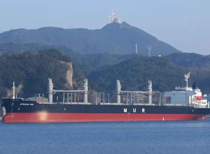 Photo of AFRICAN OWL