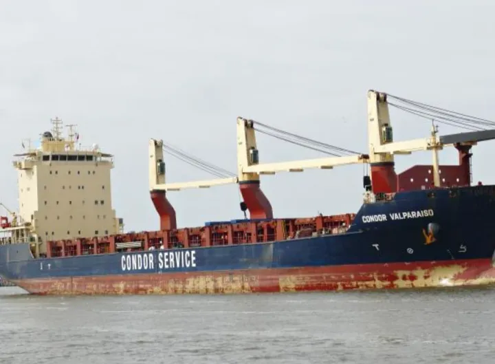 Photo of CONDOR VALPARAISO