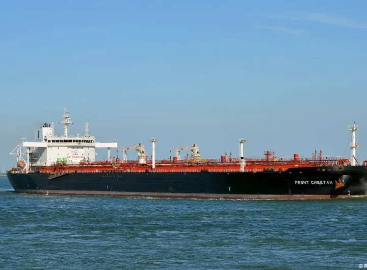 Photo of FRONT CHEETAH