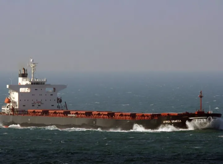 Photo of DOLPHIN 76