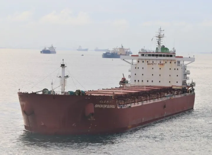 Photo of SINOKOR SUNRISE