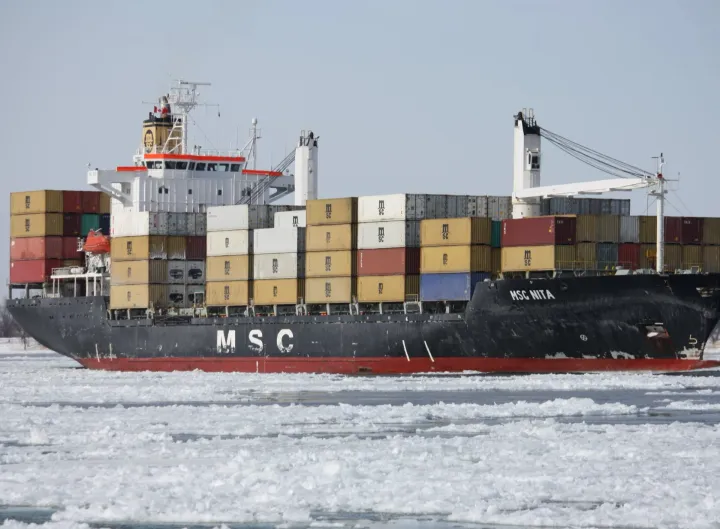 Photo of MSC NITA