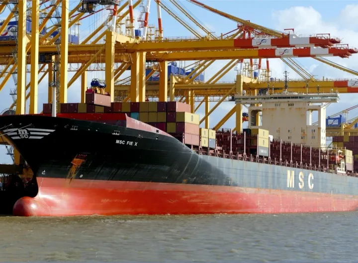 Photo of MSC FIE X