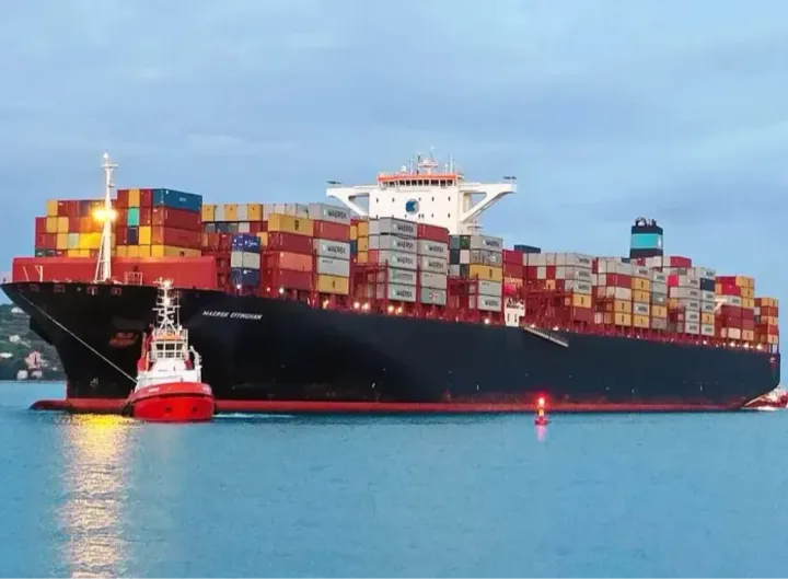 Photo of MSC ELISA XIII