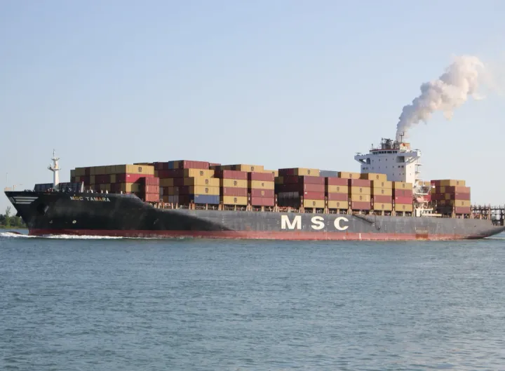 Photo of MSC TAMARA IV