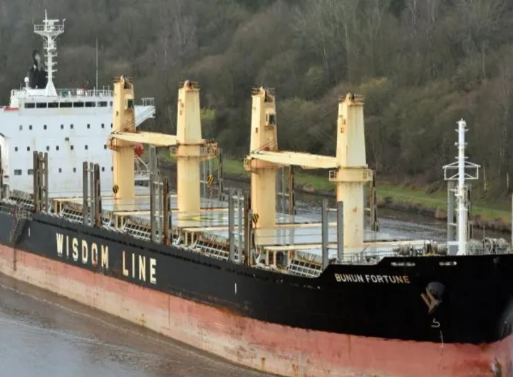 Photo of BUNUN WISDOM