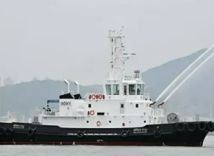 Photo of DOLPHIN NO. 29