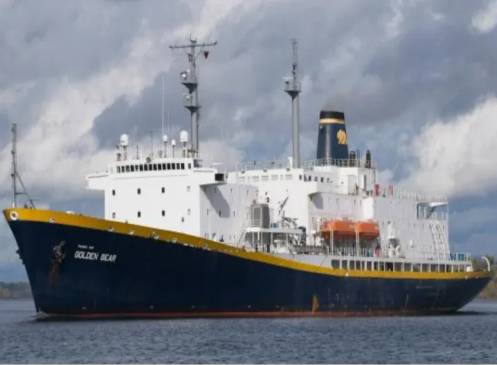 Photo of GOLDEN BEAR