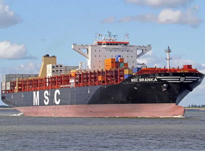 Photo of MSC BRANKA