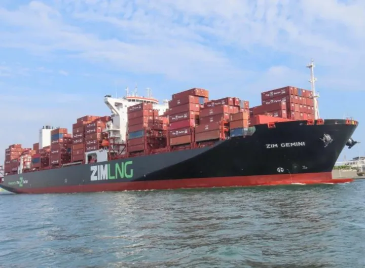 Photo of ZIM GEMINI