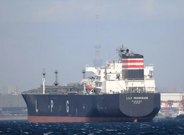 Photo of LILY PROMENADE