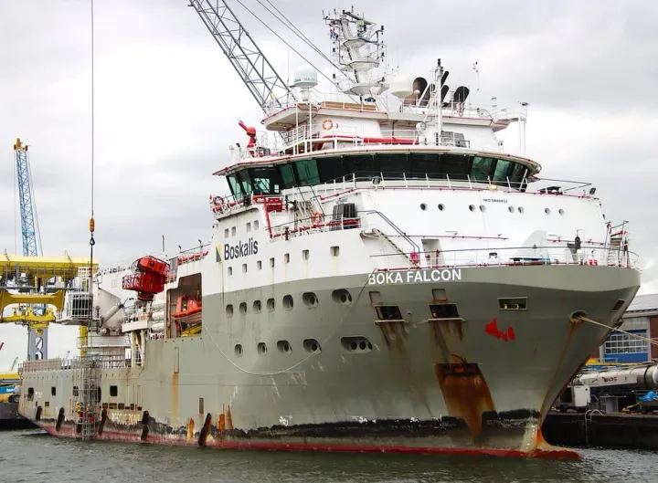 Photo of BOKA FALCON