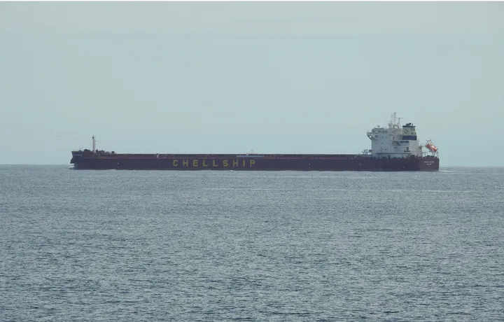 Photo of DARYA LACHMI