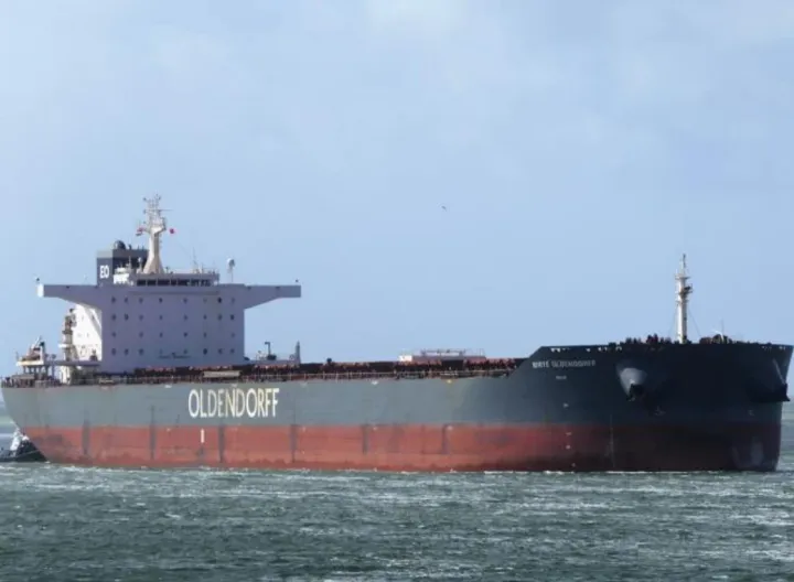 Photo of BIRTE OLDENDORFF