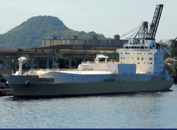 Photo of ORANGE BLOSSOM 2