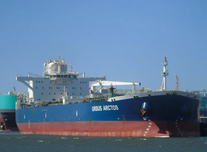 Photo of URSUS ARCTOS