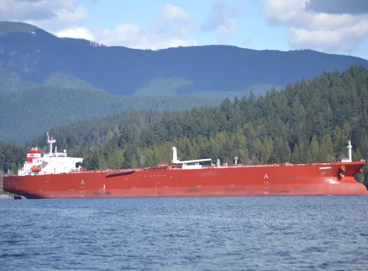 Photo of SAFEEN BARONESS