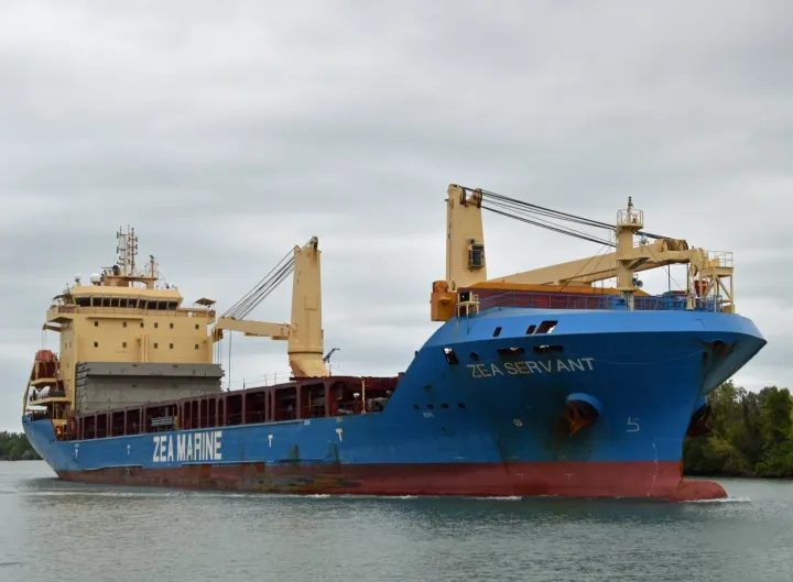 Photo of ZEA SERVANT