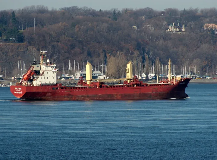 Photo of NAVIN FALCON