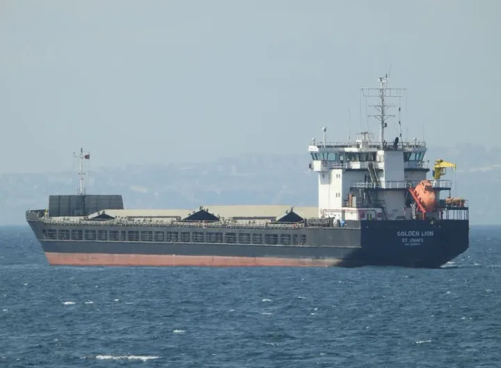 Photo of GOLDEN LION