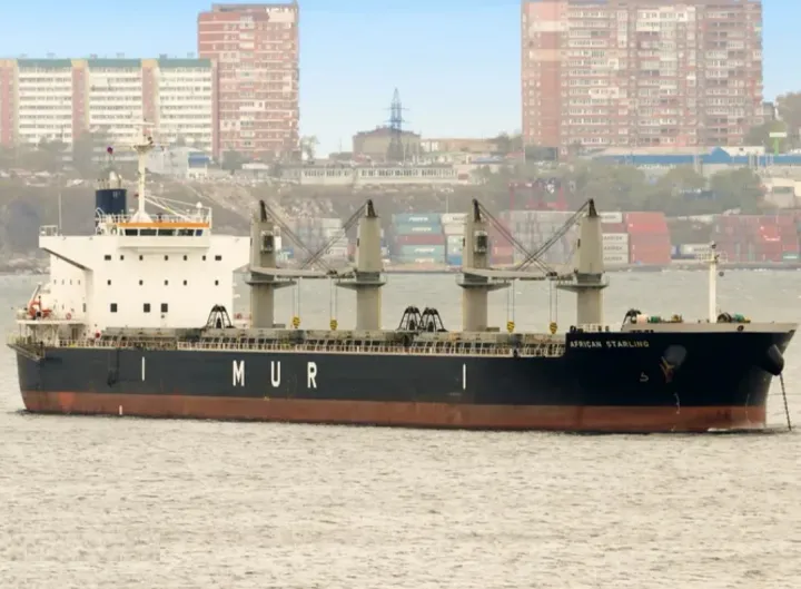 Photo of AFRICAN STARLING