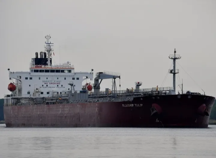 Photo of FLAGSHIP TULIP