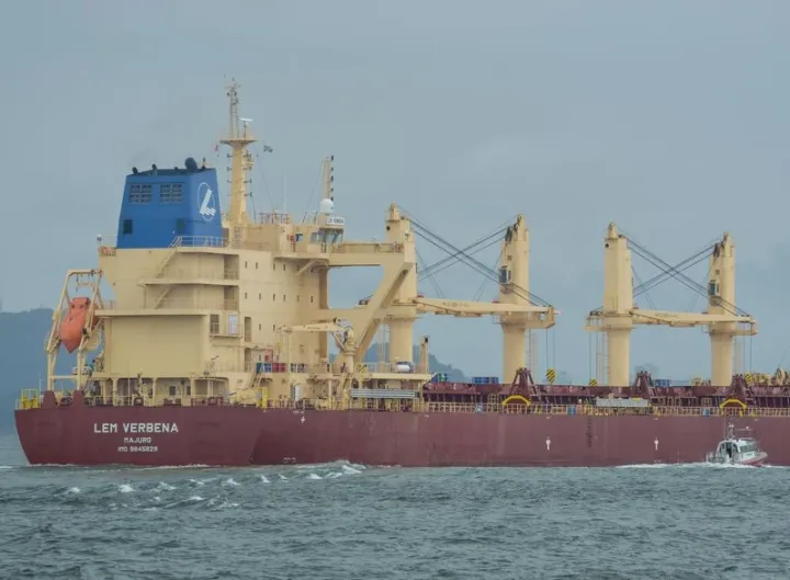 Photo of LEM VERBENA