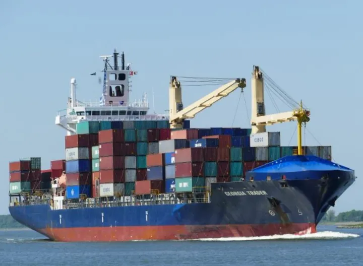 Photo of MSC GEORGIA II