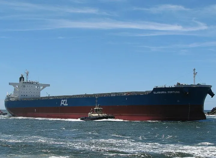 Photo of ILLAWARRA FORTUNE