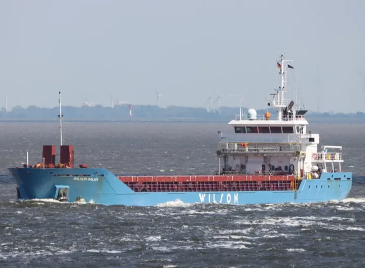 Photo of WILSON PALMA