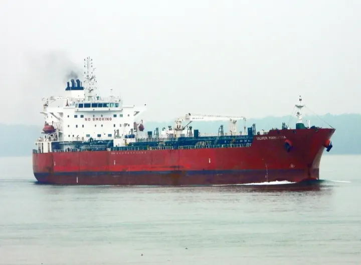 Photo of SILVER MANOORA