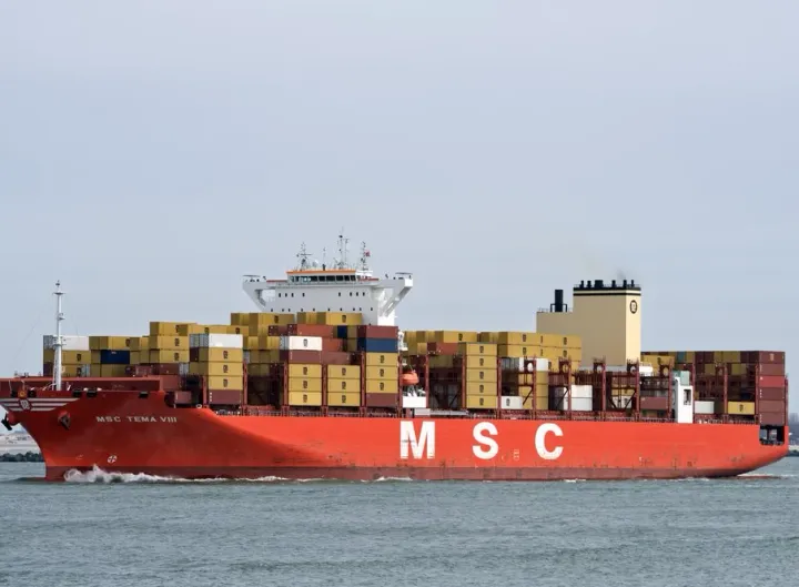 Photo of MSC TEMA VIII