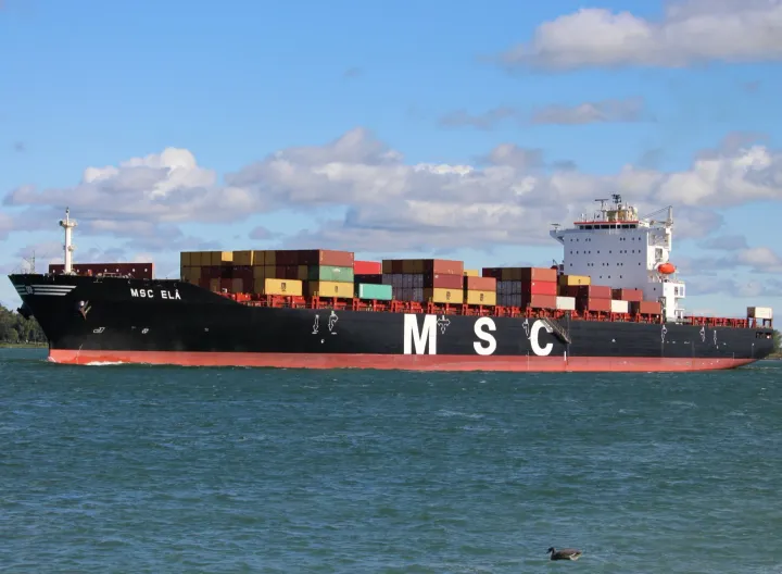 Photo of MSC ELA